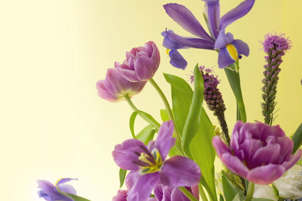 Springtime Super Floral